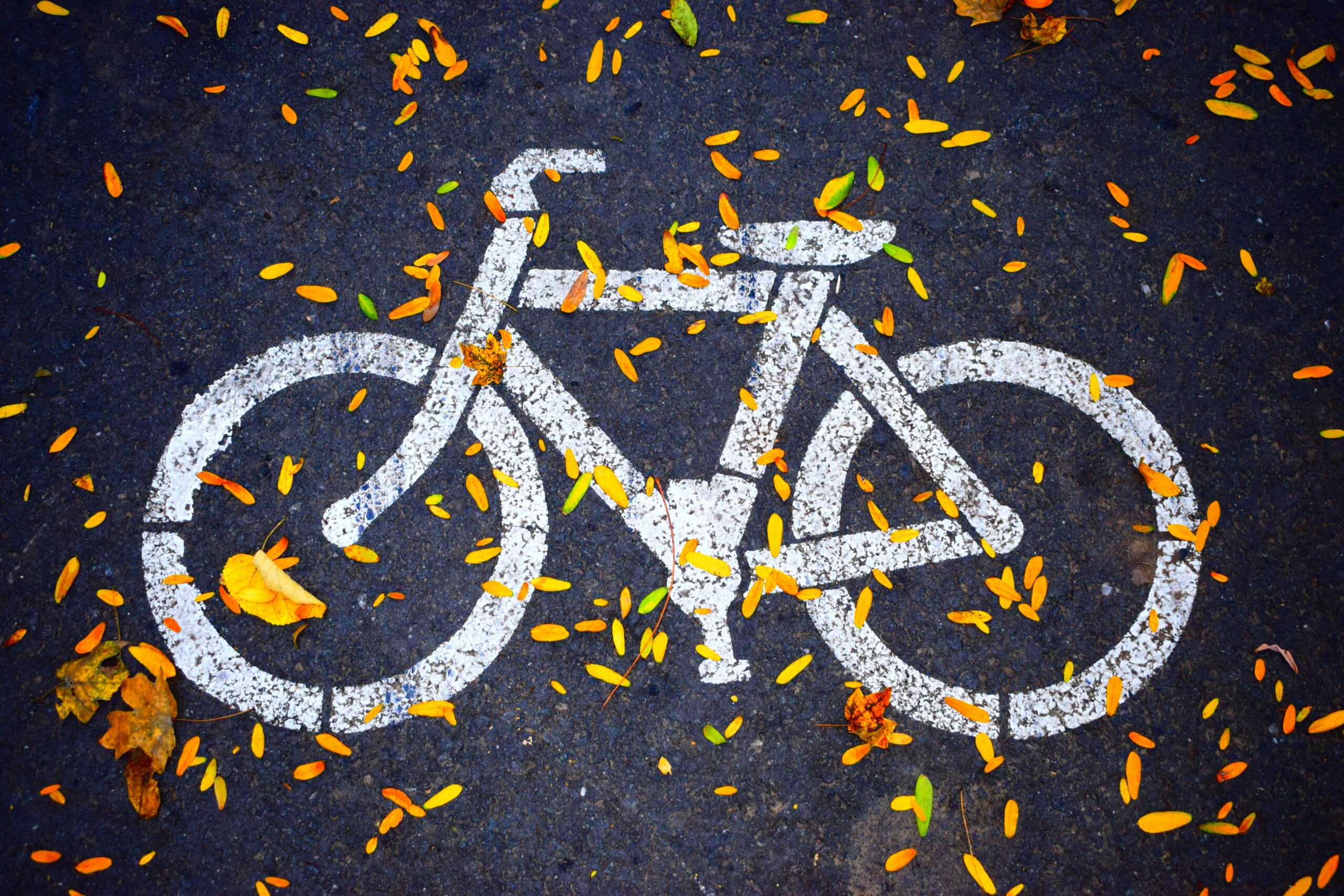 The Difference Between a Bicycle Accident Case and Other Injury Cases